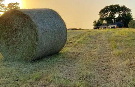 The Grannary - Photo 29