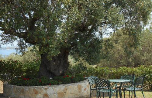 Heliactida House - Photo 11