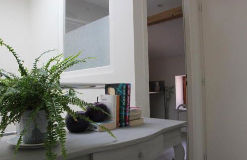 Grand duplex au calme en centre-ville - Foto 9