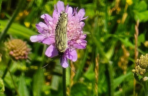 Exklusive Ferienwohnung Bad Salzschlirf - direkt am Waldrand - großer Garten kompett umzäunt - Hunde willkommen - 2 private Stellplätze - Foto 65