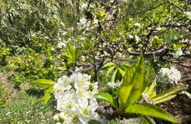 The Green Valley House - Photo 78