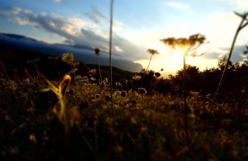 Pezzelelle - Foto 36