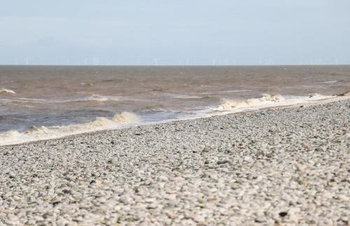 Beachcomber D35 - Foto 20