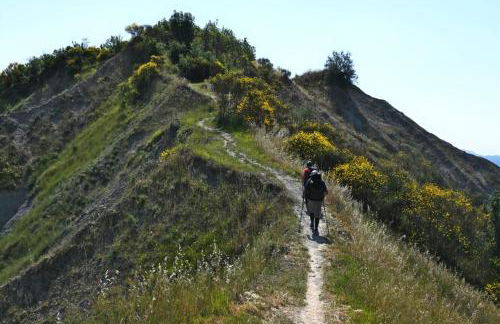 La Mimosa - Photo 47