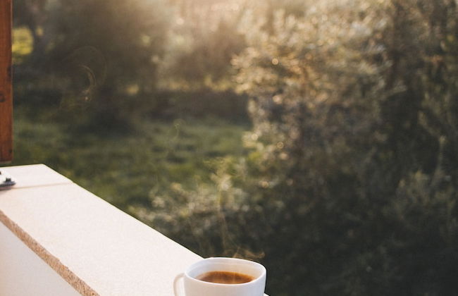 Chão do Ribeirinho, Castelo Branco - Photo 20