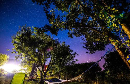 Agroturystyka "Dobre czasy" - Foto 80