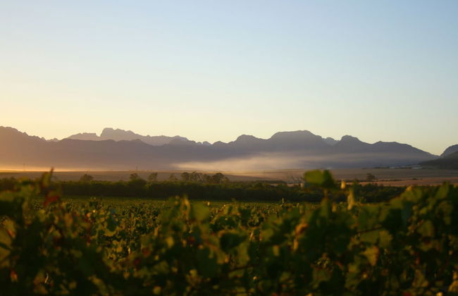 Denneboom Vineyards and Wildlife - Foto 43