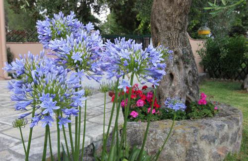 STONE ROSE VILLA - Foto 18