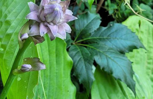 Willa Reglówka Stylowy dom Pachnący ogród - Foto 66