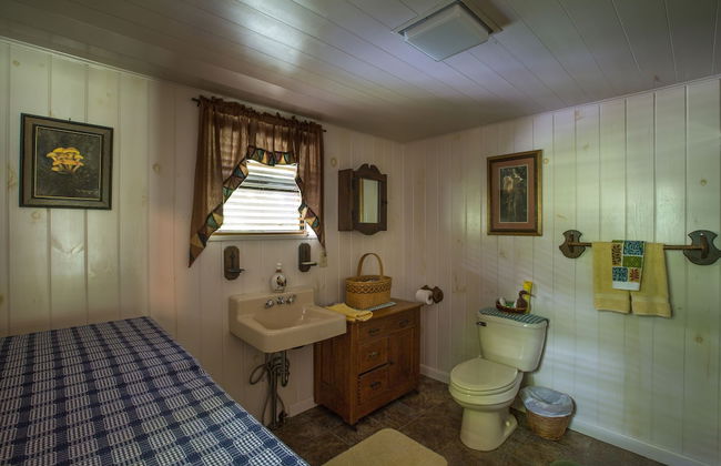 Lake Santeetlah Log Cabin - Foto 11