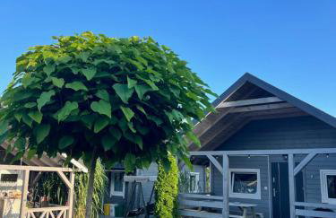 Przystanek Prawdowo - Foto 64