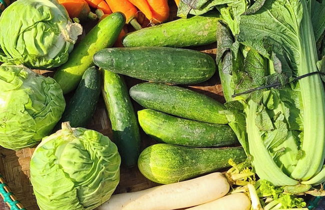 Nana Jungle Resort Near Chitwan National Park - Foto 70