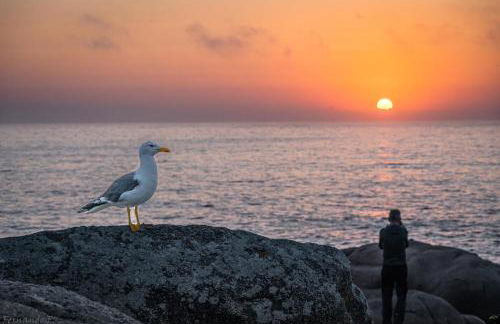 Apartamentos Currás en Touriñán - Foto 55