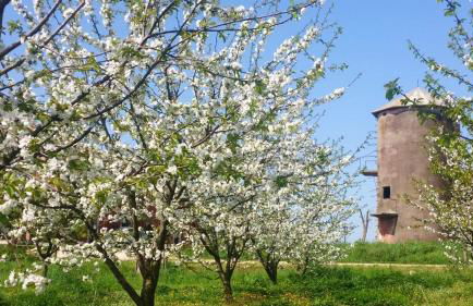 Exquisite Retreat in Segni - Photo 46