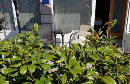 Apartmani Sanja - Foto 57