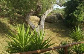 Zefiro Casa Vacanze - Foto 19