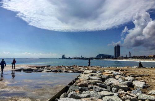 Charm Miró - Photo 33