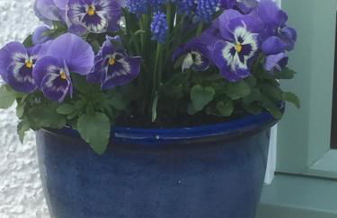 Corrieview Barn - Photo 23