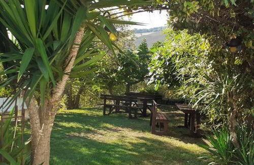 Pier Delle Vigne B&B - Foto 24