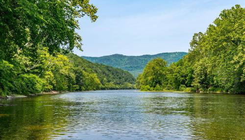 Modern Riverside Cabin w Hot Tub Fire Pit Kayaks - Photo 5