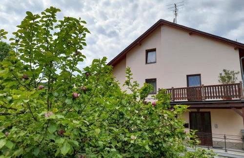 Ferienwohnungen Herrmann - Foto 12