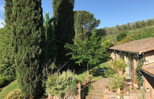 Podere Porcino - Foto 49