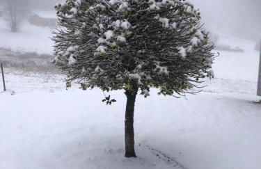 Chalet Belfahy - Foto 18