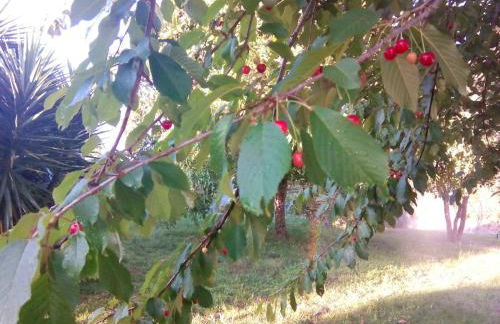 Charming House in Covelas with Pool and Mountain View - Foto 34