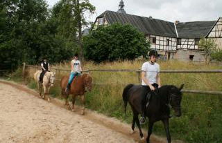 Pferd - Spaß - Entspannung - Foto 11