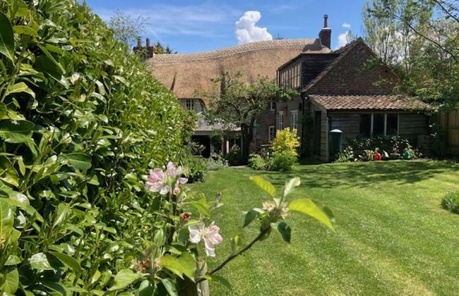 Idyllic Historic Thatched Cottage Hardy's Dorset - Foto 24