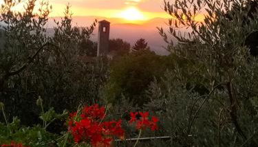 La casetta di campagna Alloggio nel Chianti - Foto 1
