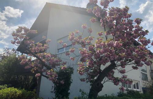 Daheim am Wasserturm - Wörth - Foto 38