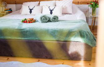 Leśne Zacisze Radawa I - Foto 15