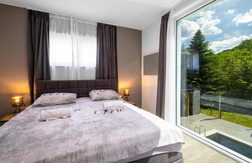 Lovely Home In Novo Zvecevo With Sauna - Foto 30