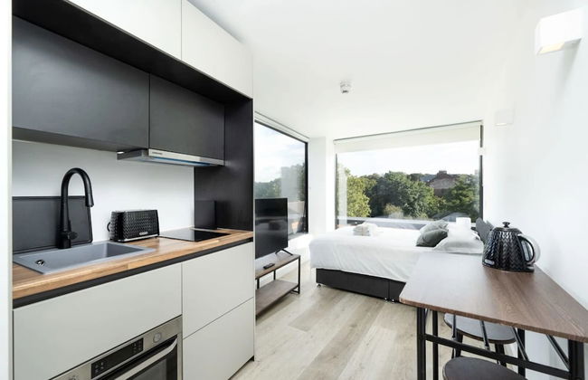 Antigallican - Foto 11