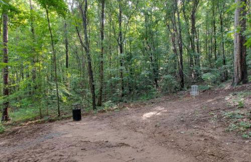 Off-grid Tree House Suitable for Four in Alabama - Foto 31