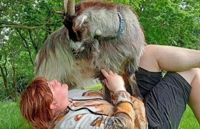 Idlewild Animal Sanctuary Farmhouse Stay - Charity - Photo 30