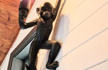 Otter 3 Lodge -Jungle Inspired -Dog Friendly -Private Hot Tub -Warminster-Bath-Salisbury - Foto 7