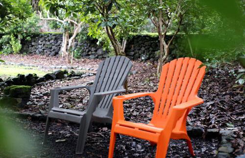 Casa Cor de Rosa - Photo 41