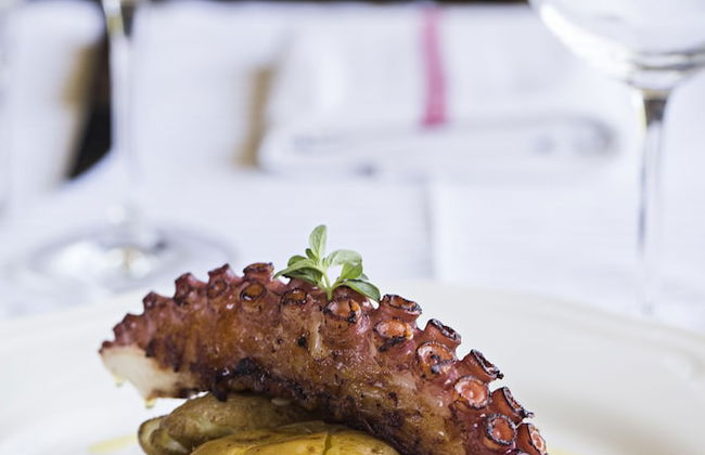 Quinta de S. Bernardo Winery & Farmhouse - Foto 37