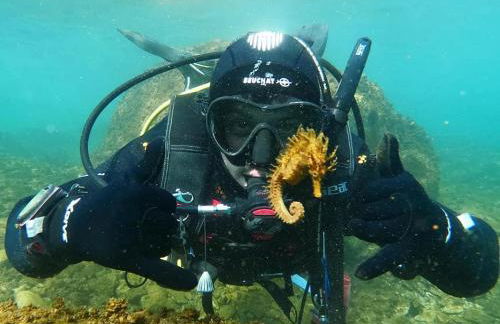 Heracles Guesthouse - Photo 70