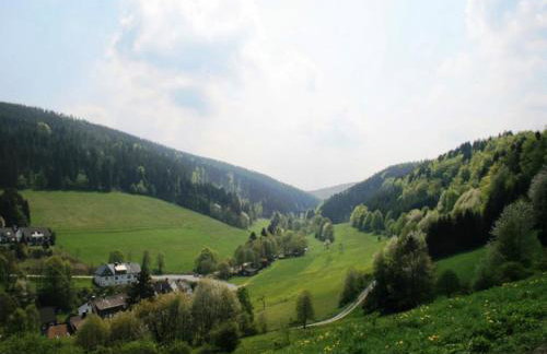 Ferienwohnung bei Willingen mit Terrasse - Photo 60