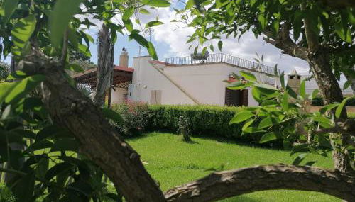Villa in a lovely olive grove 10 minutes from the sea Ada residence - Foto 1