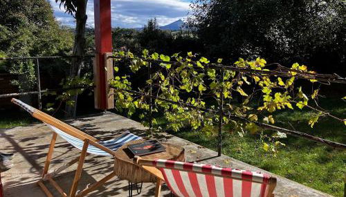 Lagunen etxea - Foto 3, Garden view