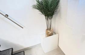 Ferienwohnung Melody - Foto 13