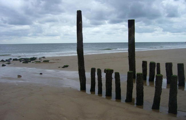 Studio in Zoutelande Near Stunning Beaches - Photo 29