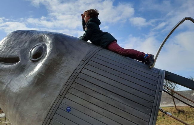 Holiday Apartment Beach View - Foto 14