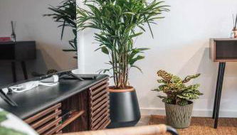 Casa dos Capuchos - Photo 2