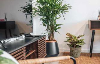 Casa dos Capuchos - Photo 2