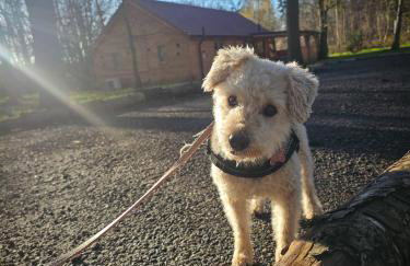 Hay's Wood Retreat - Holiday Lodges - Foto 23